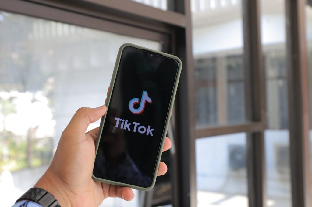 Seguidores no TikTok 5